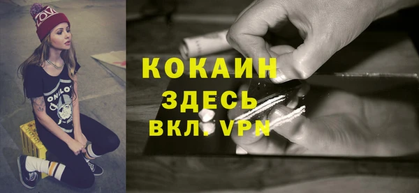 молекула духа Вязьма