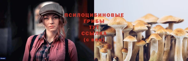 молекула духа Вязьма
