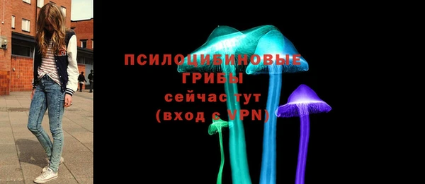 молекула духа Вязьма