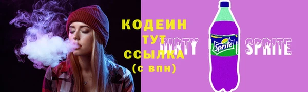 прущие грибы Вязники