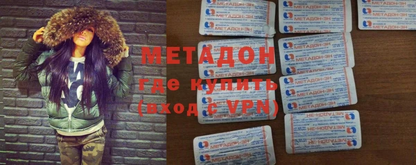 прущие грибы Вязники