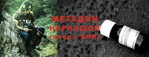 прущие грибы Вязники