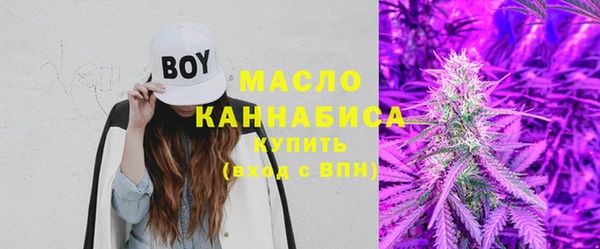 прущие грибы Вязники