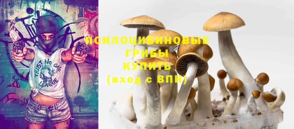 молекула духа Вязьма