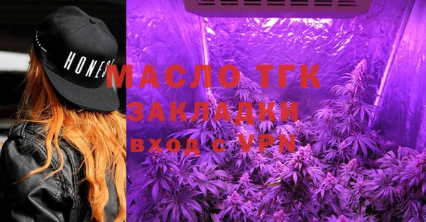 молекула духа Вязьма