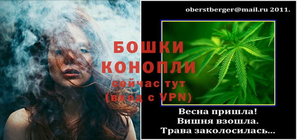 прущие грибы Вязники